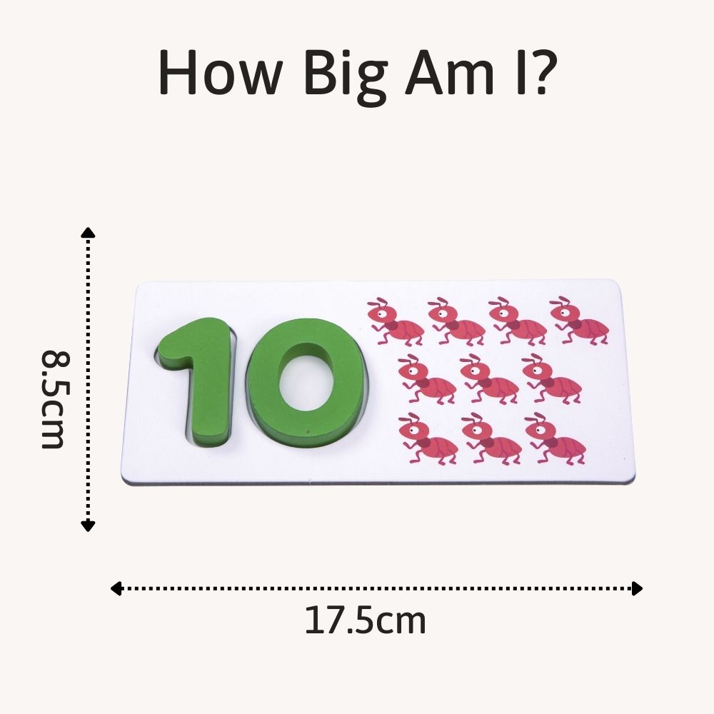 Maths Game - Number Counting