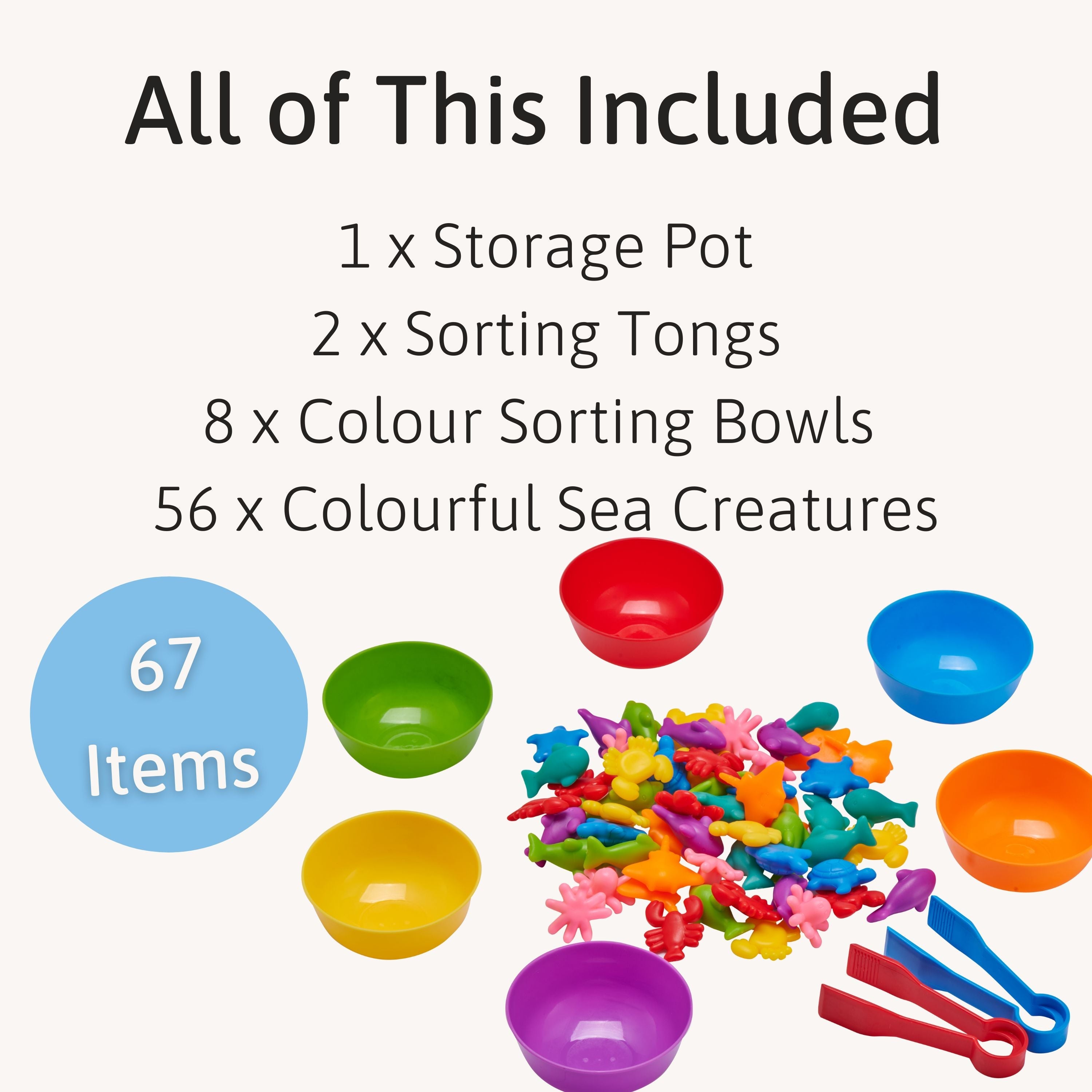 Educational Game - Colour Sorting