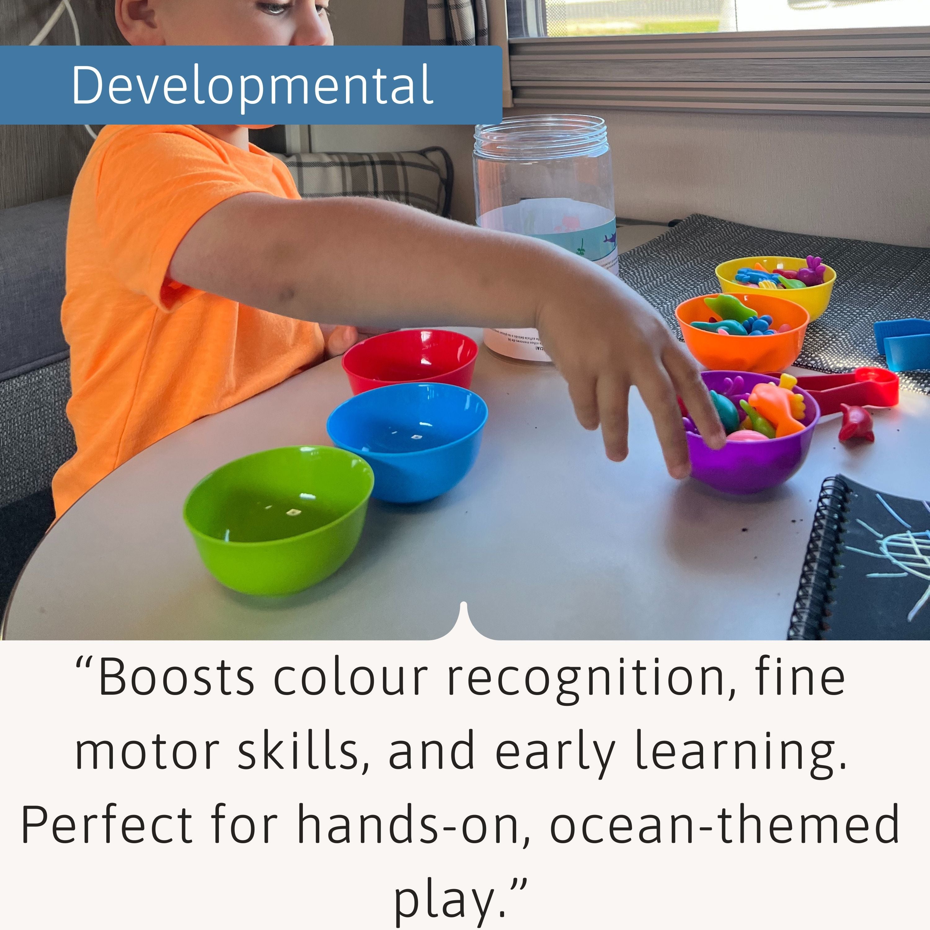 Educational Game - Colour Sorting