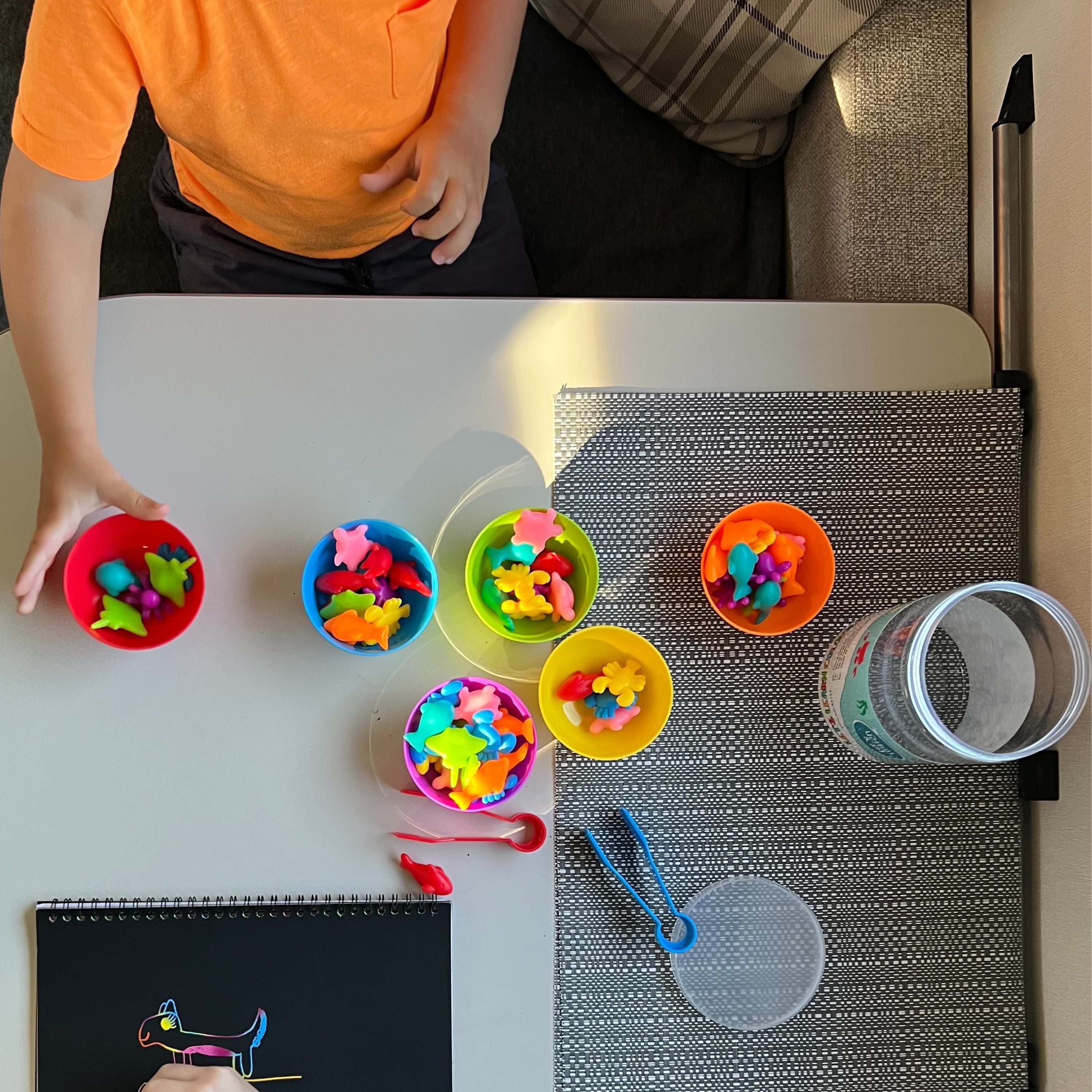 Educational Game - Colour Sorting