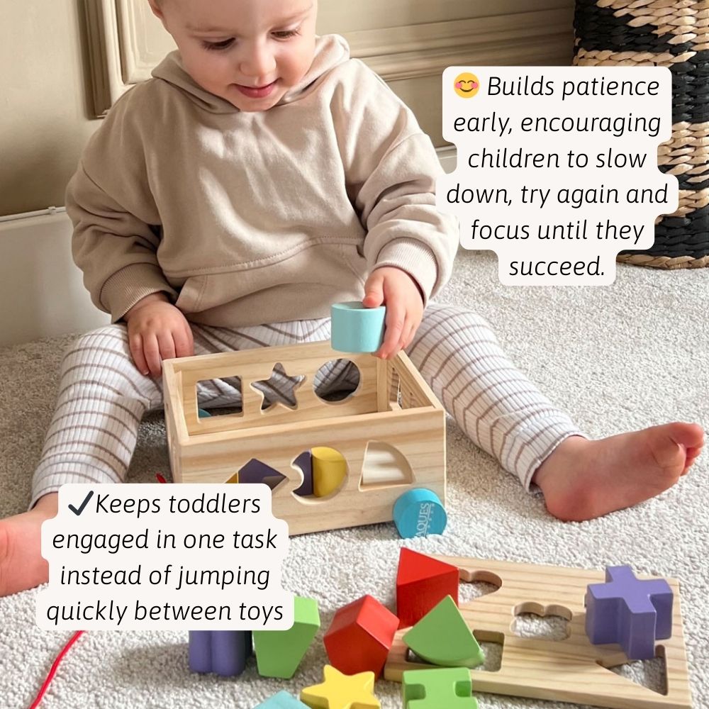 Shape Sorter - Shape Sorting Toy