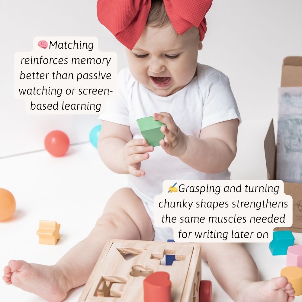 Shape Sorter - Shape Sorting Toy