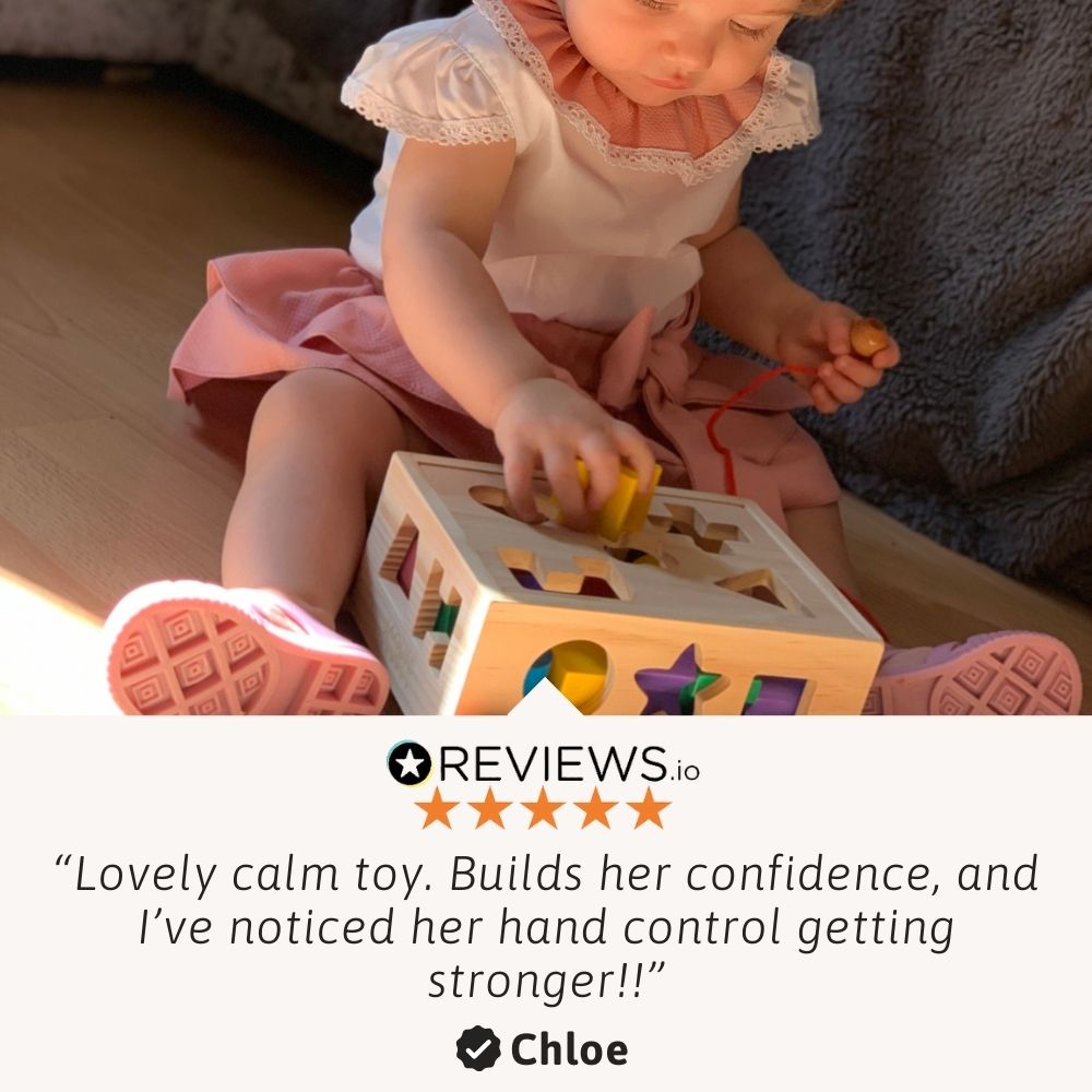 Shape Sorter - Shape Sorting Toy