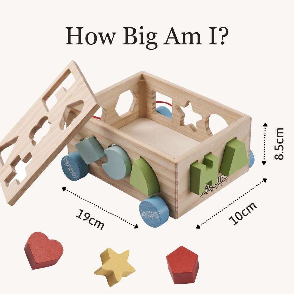 Shape Sorter - Shape Sorting Toy