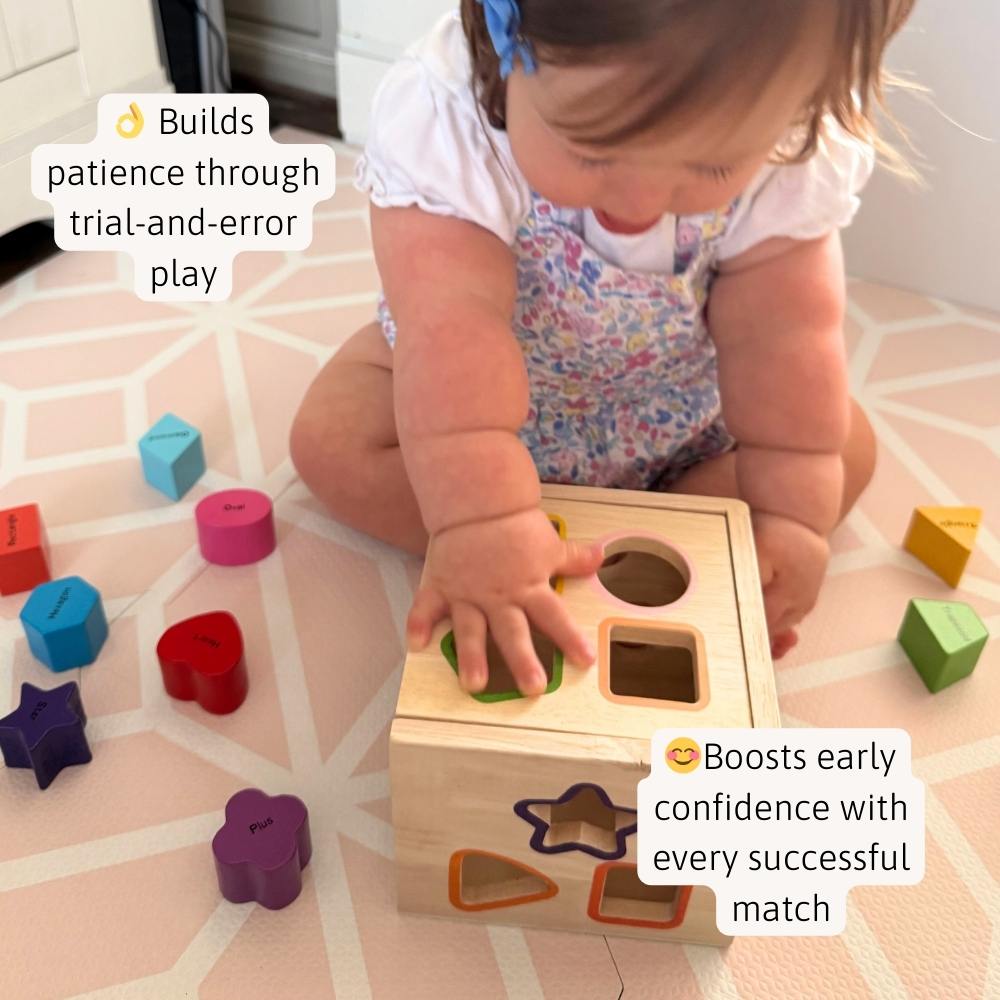 Shape Sorter - Learning Game