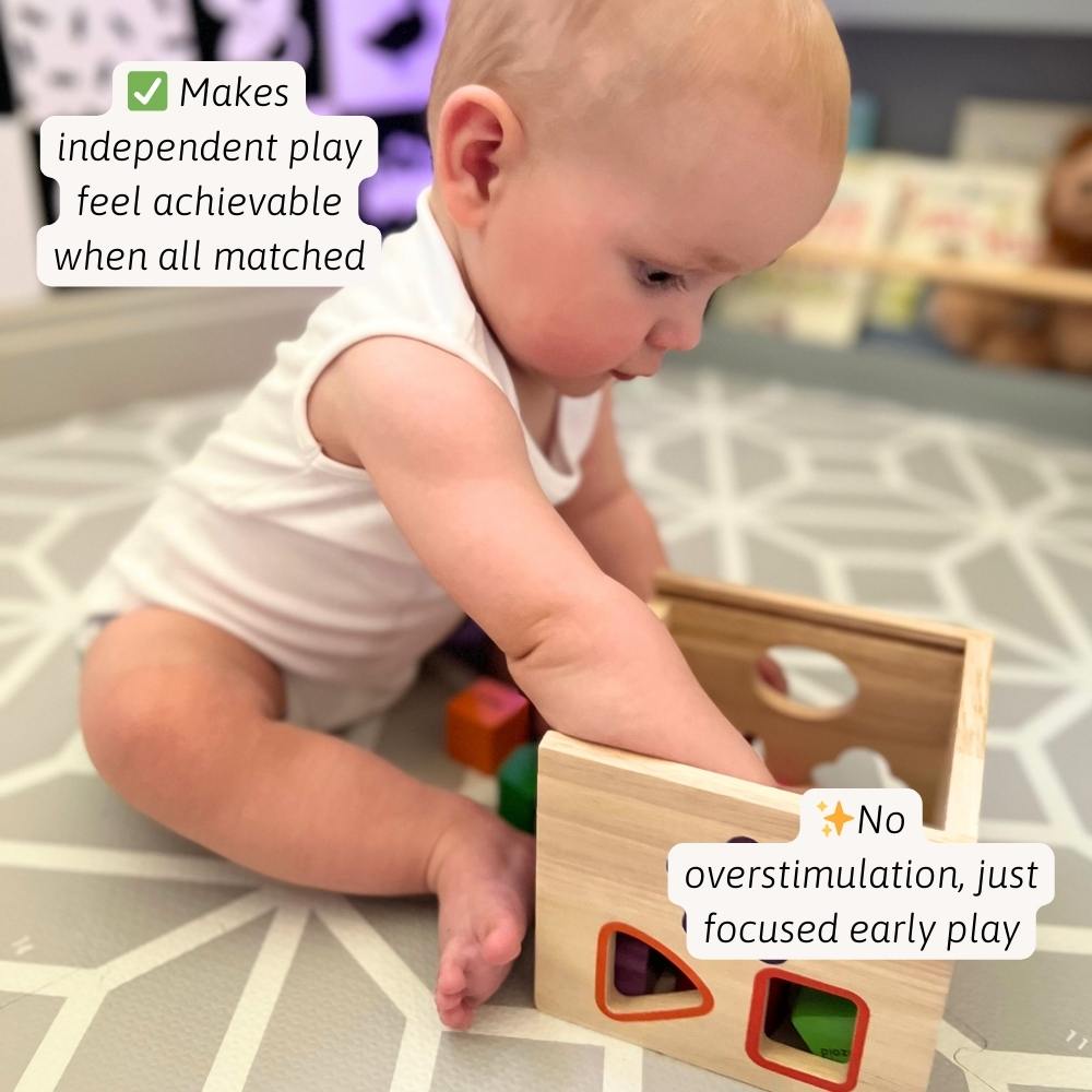 Shape Sorter - Learning Game