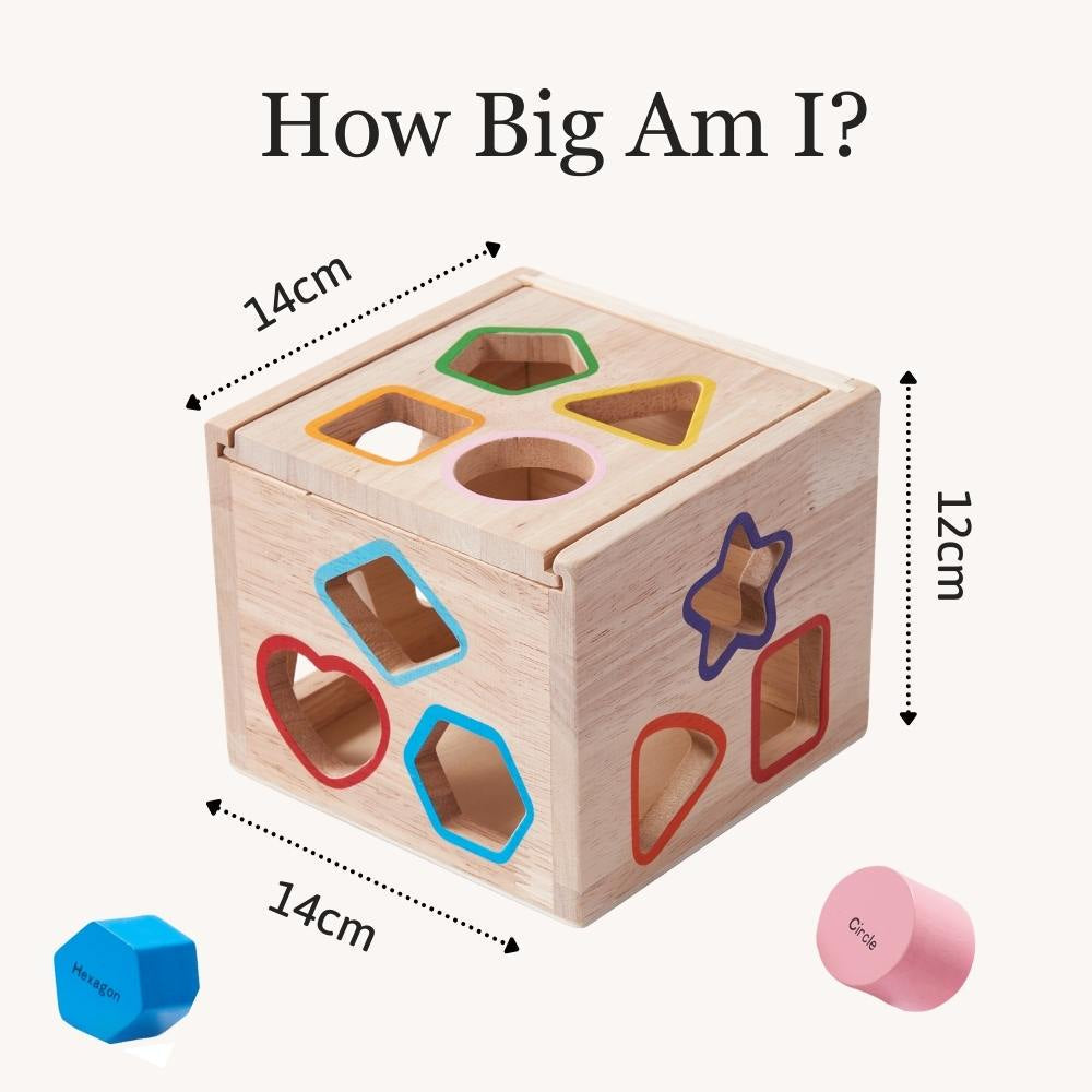 Shape Sorter - Learning Game