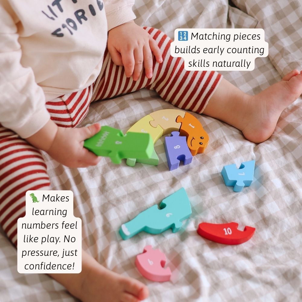 Counting Dinosaur - Number Puzzle
