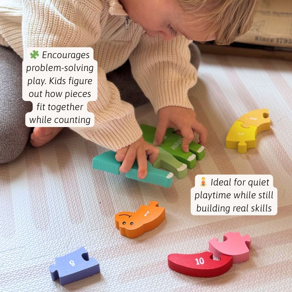 Counting Dinosaur - Number Puzzle