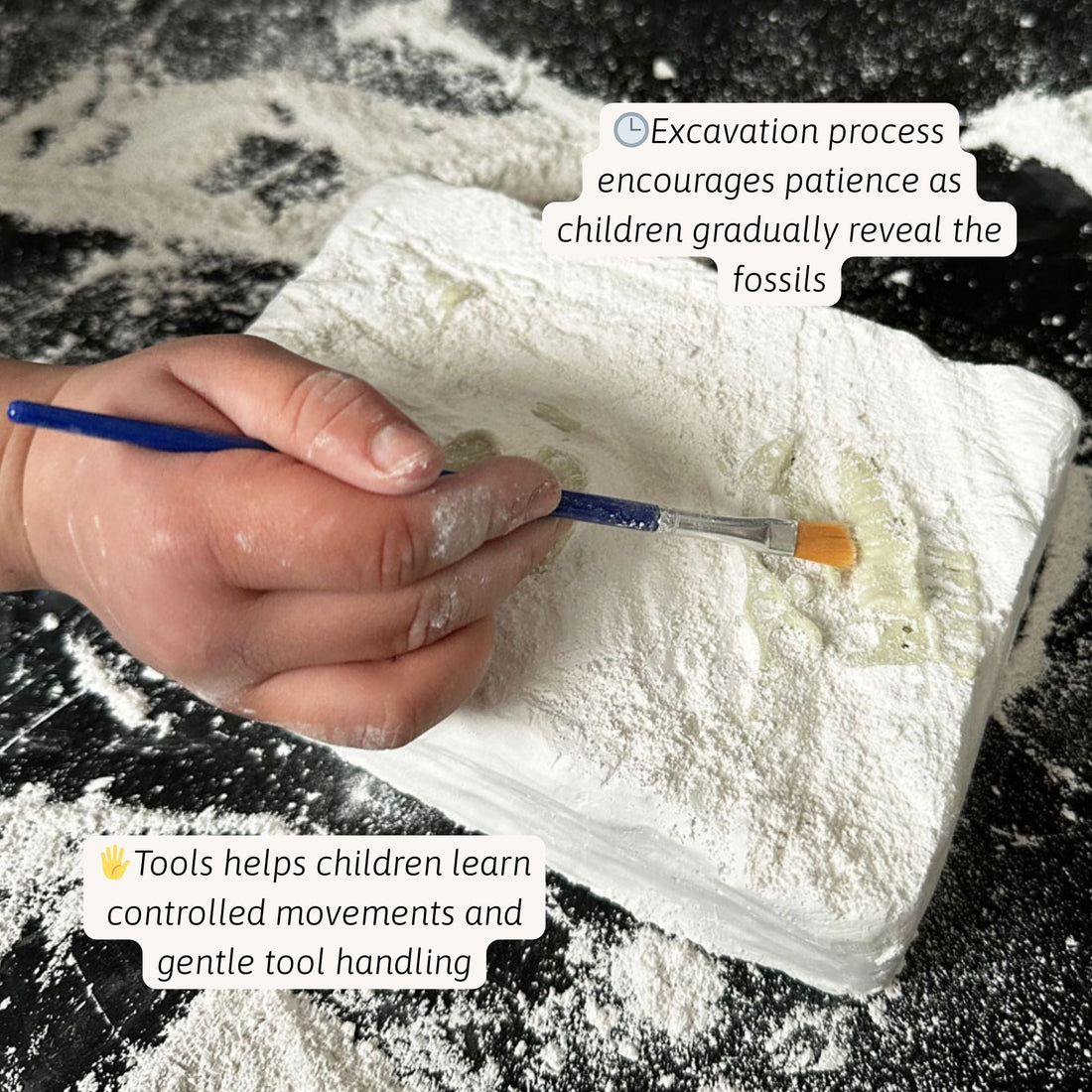 Triceratops Fossil Dig Kit