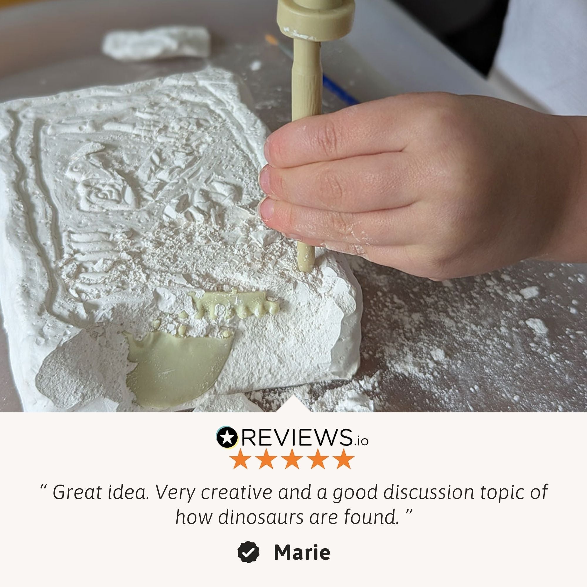 Triceratops Fossil Dig Kit