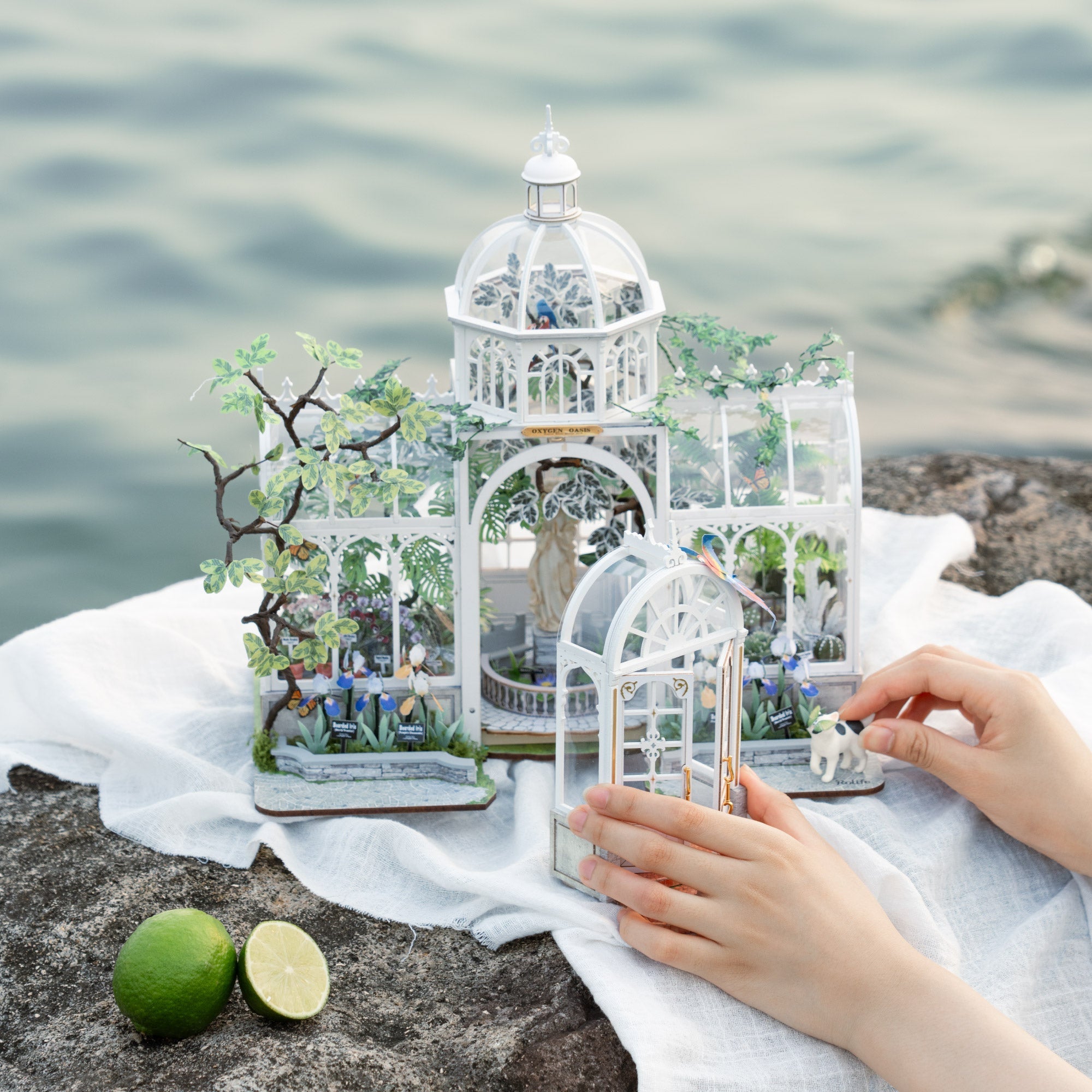 Rolife Oxygen Oasis DIY Miniature House DH102