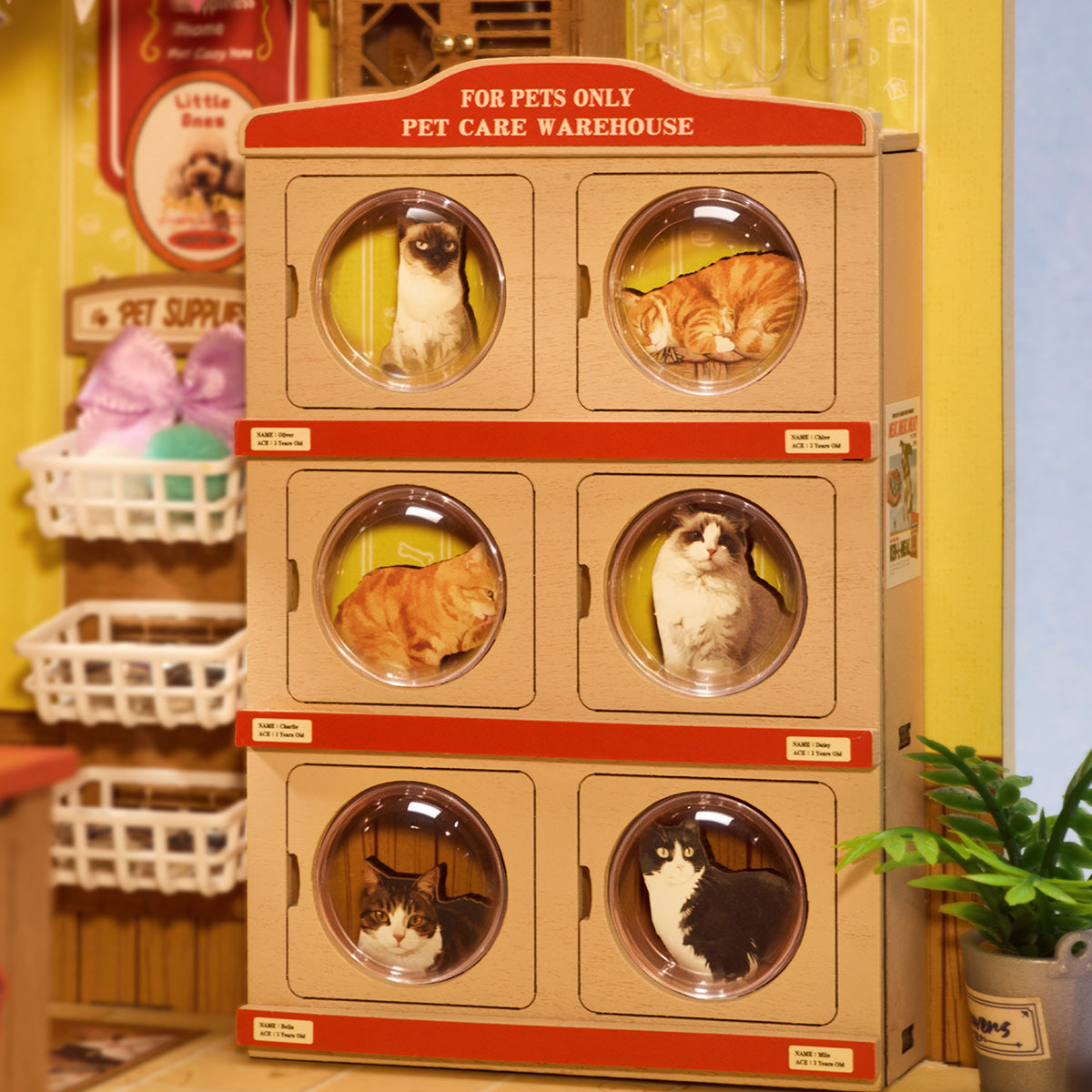 Rolife Fluffy Friends Store DIY Miniature House DG185