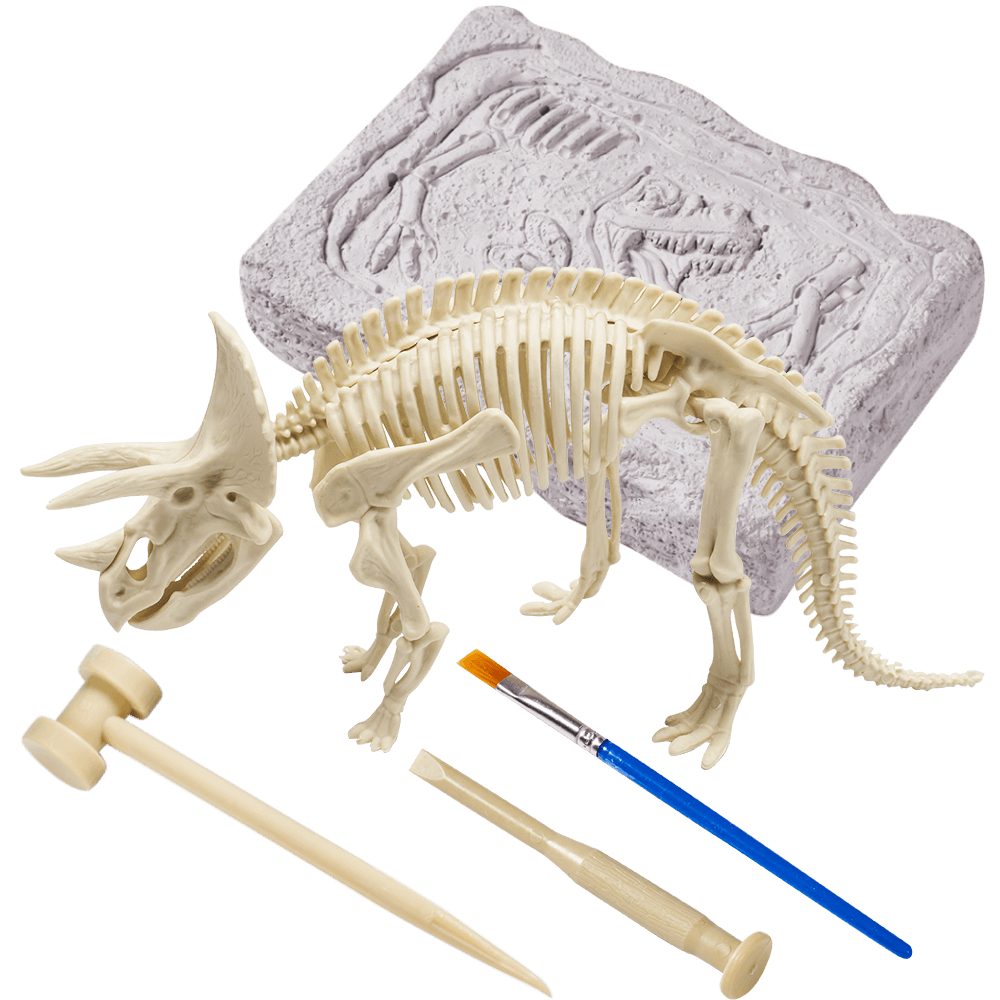 Triceratops Fossil Dig Kit